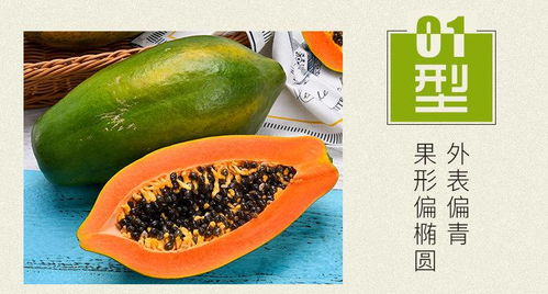 9斤广西冰糖红心木瓜 树上熟的鲜甜，批发包邮的便捷