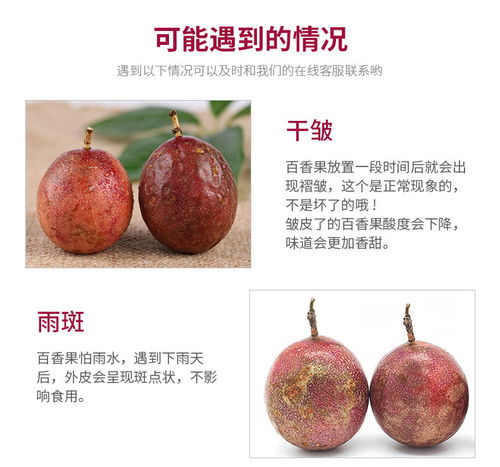 广西百香果大果3斤现摘新鲜水果批发指南 把握黄金品质，抢占市场先机
