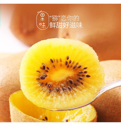 四川黄心猕猴桃 新鲜现摘，季节性批发优选