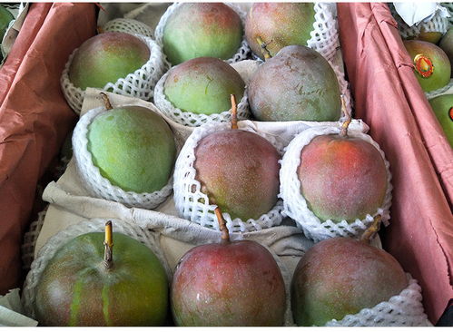 现摘吉禄芒 当季热带风味，整箱批发开启新鲜之旅