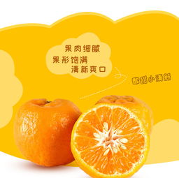 长阳清江椪柑 源自农夫乡情的当季精品