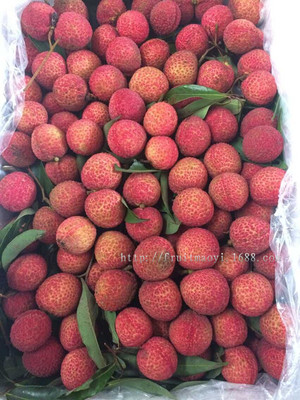 广东特级超甜无核荔枝 新鲜水果批发的首选佳品