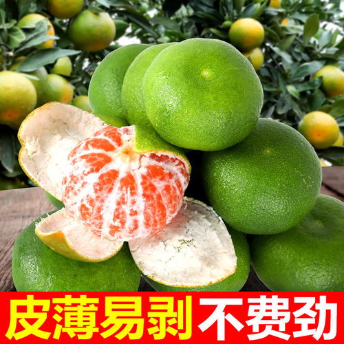 新鲜蜜橘批发指南 薄皮多汁，多仓直发