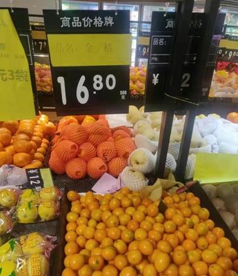 正宗广西融安金桔 纯甜脆皮，一口难忘的秋冬限定美味